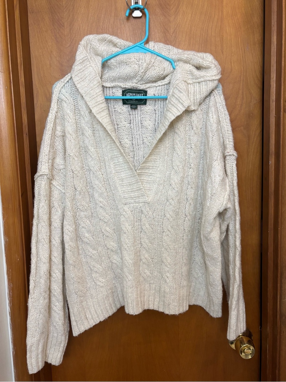 American Eagle Hooded Sweater